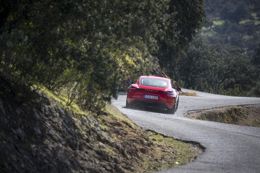  Porsche 718 Cayman T (982C) 2019 года  (WW) (фото 50 из 73)